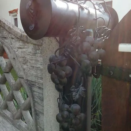 Pensiune Fenyo Vendeghaz *